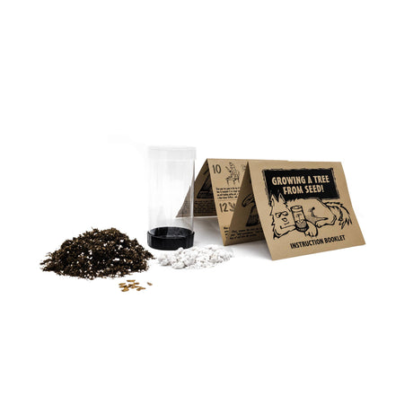 Giant Sequoia Seed Grow Kit
