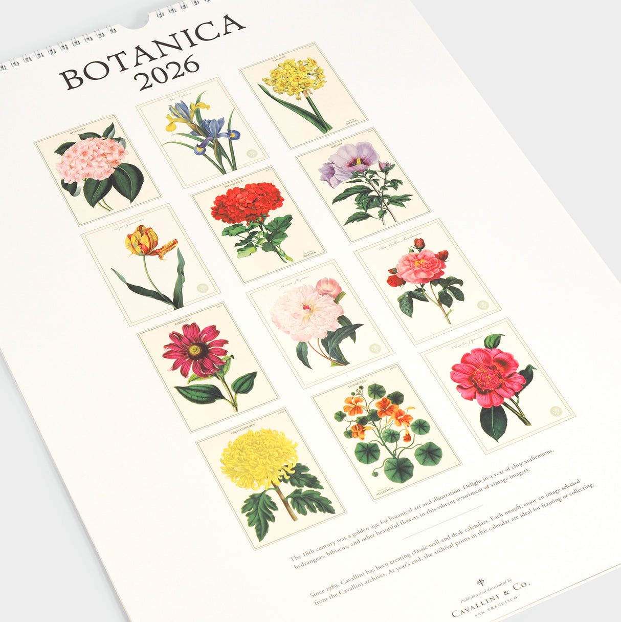 2026 Botanica Wall Calendar