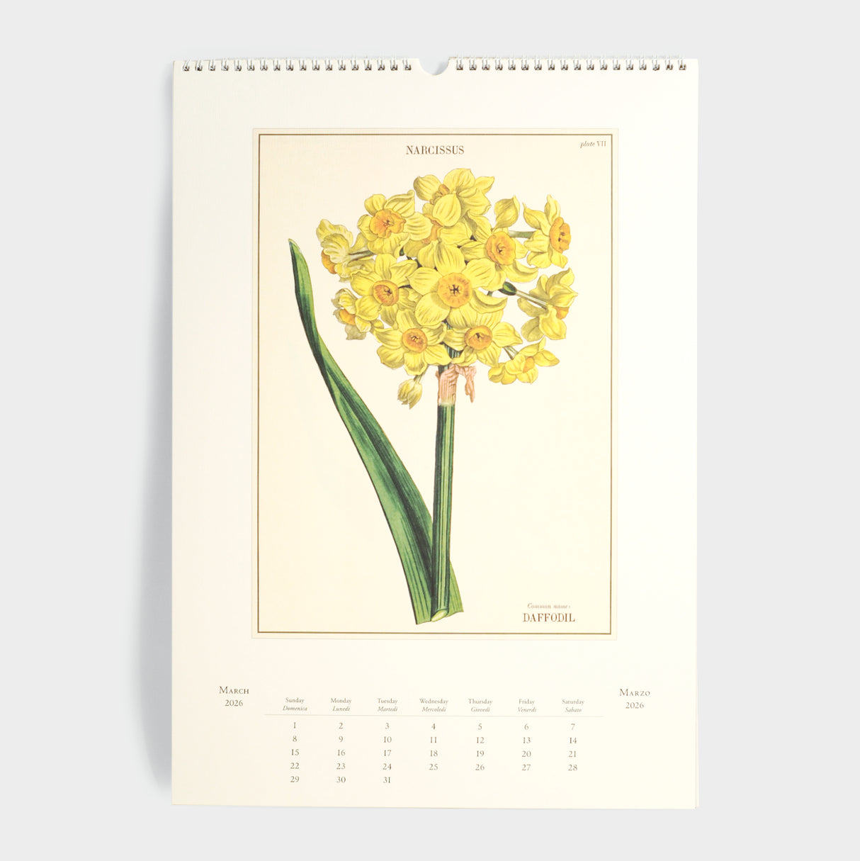 2026 Botanica Wall Calendar