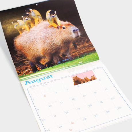 Capybara Wall Calendar 2026