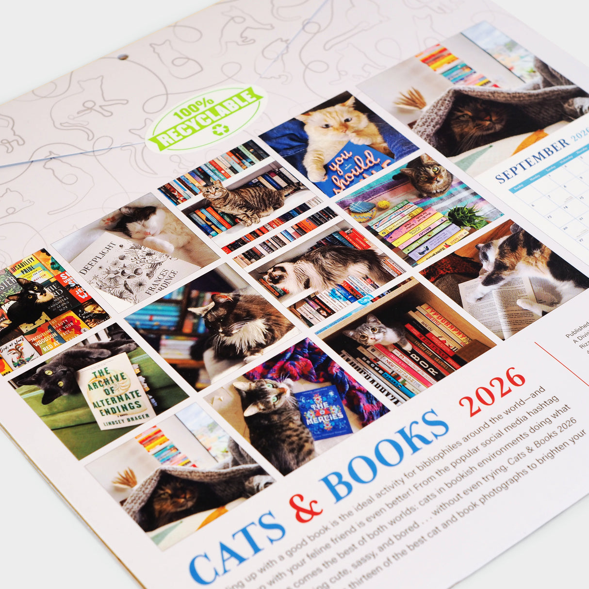 Cats and Books 2026 Wall Calendar
