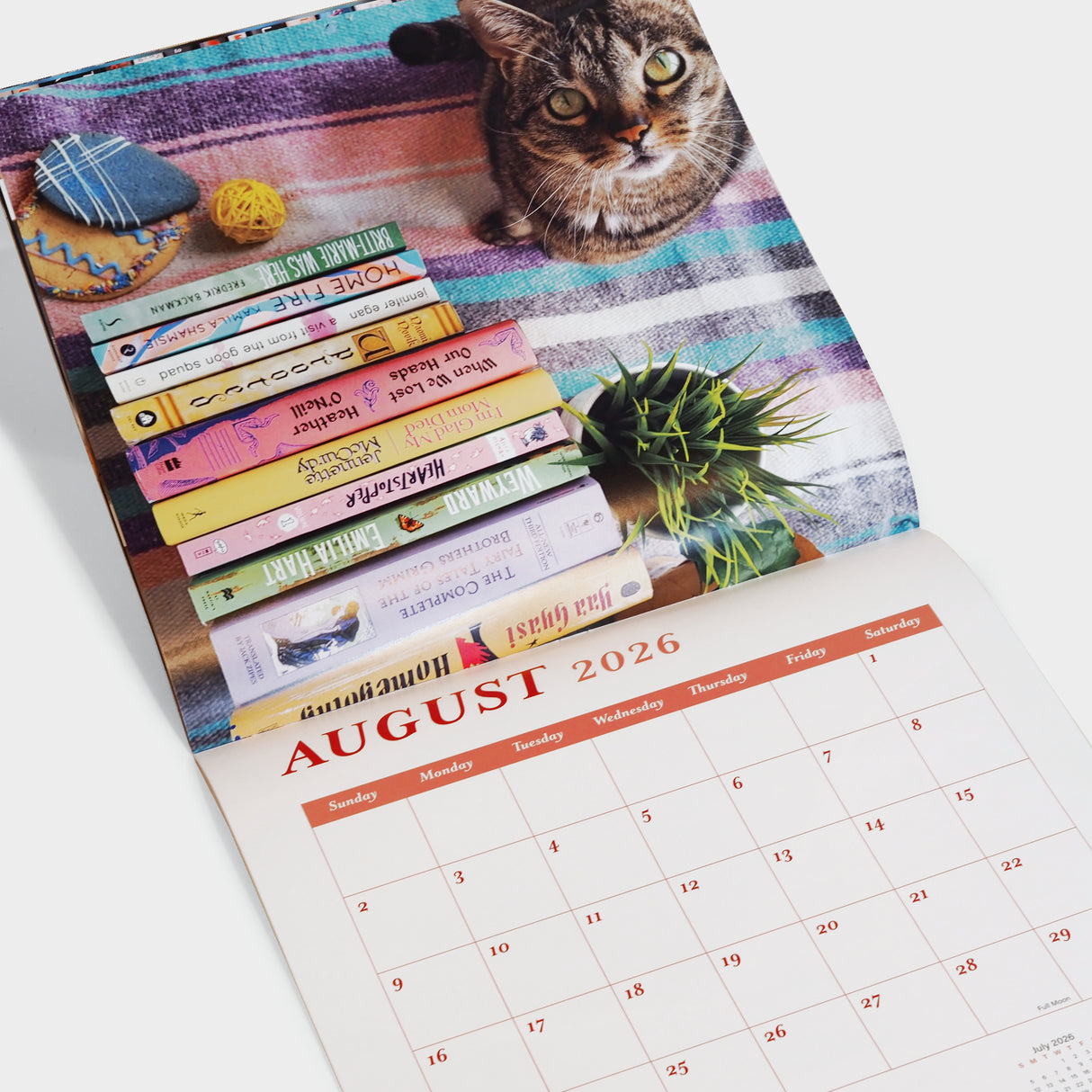 Cats and Books 2026 Wall Calendar