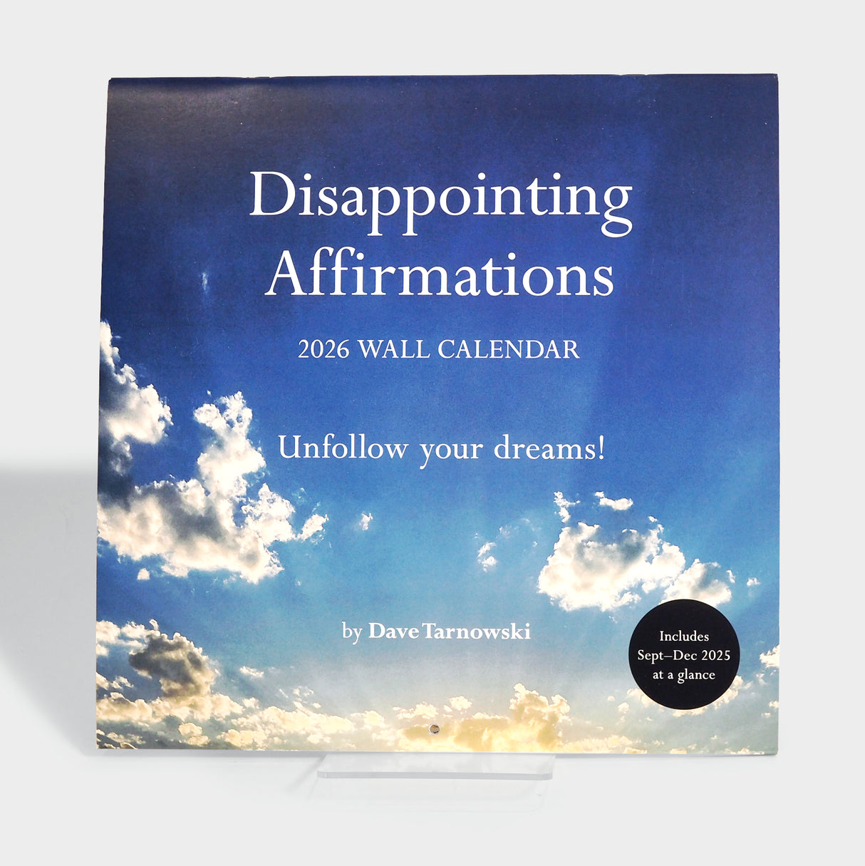 Disappointing Affirmations 2026 Wall Calendar