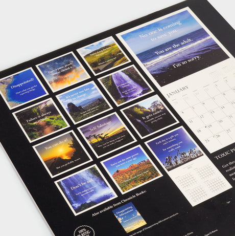Disappointing Affirmations 2026 Wall Calendar