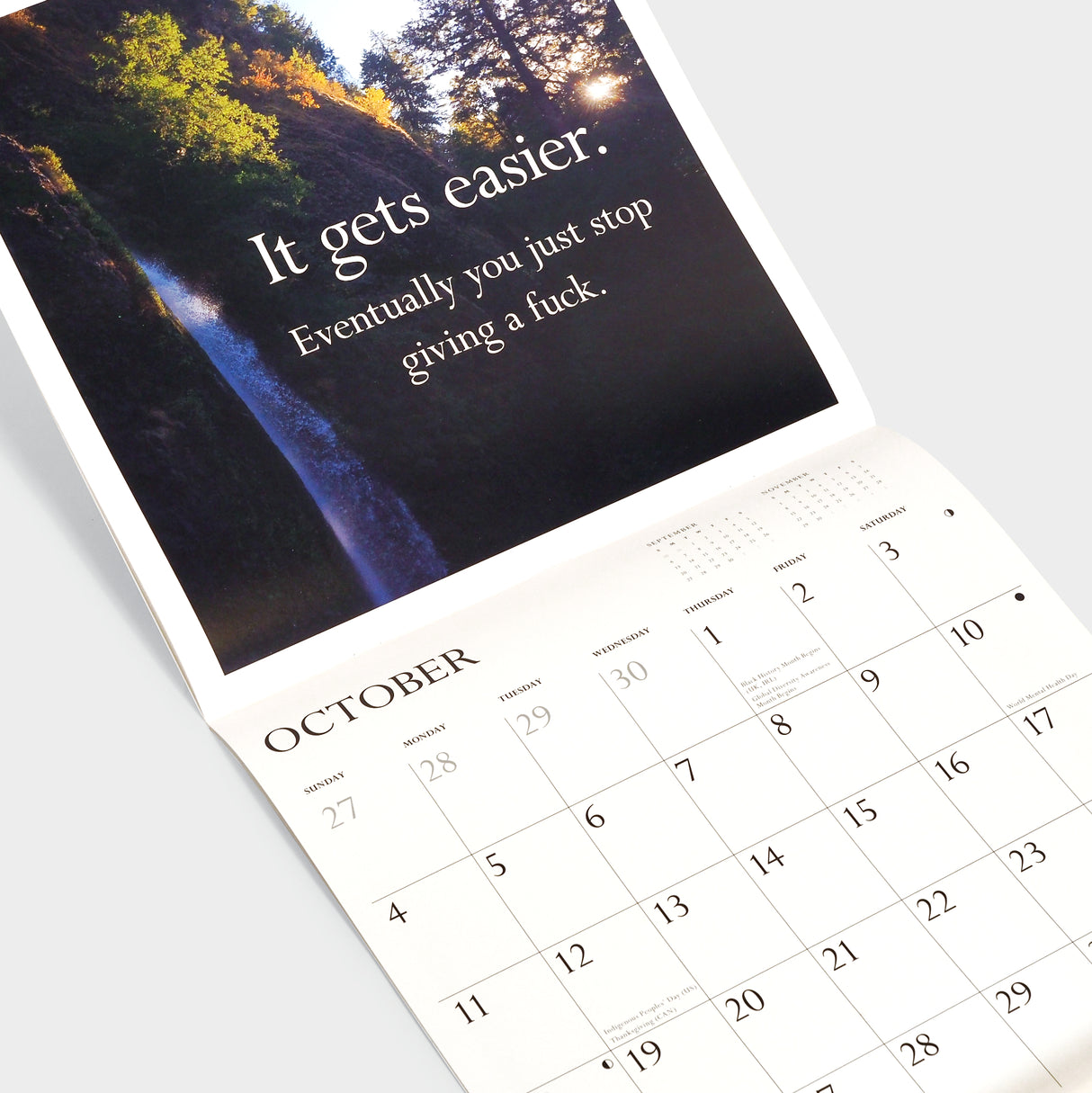 Disappointing Affirmations 2026 Wall Calendar