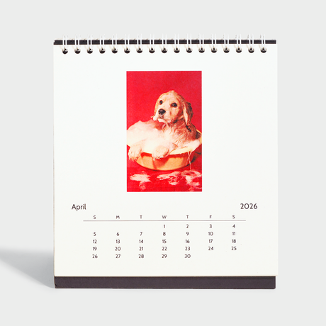 2026 Dogs Easel Desk Calendar