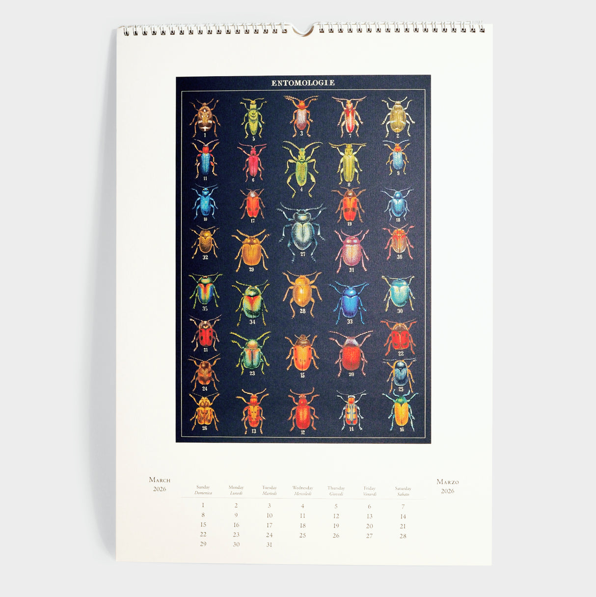 2026 Entomology Wall Calendar