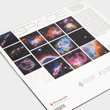 Space: Views from the Hubble & James Webb Telescopes 2026 Wall Calendar
