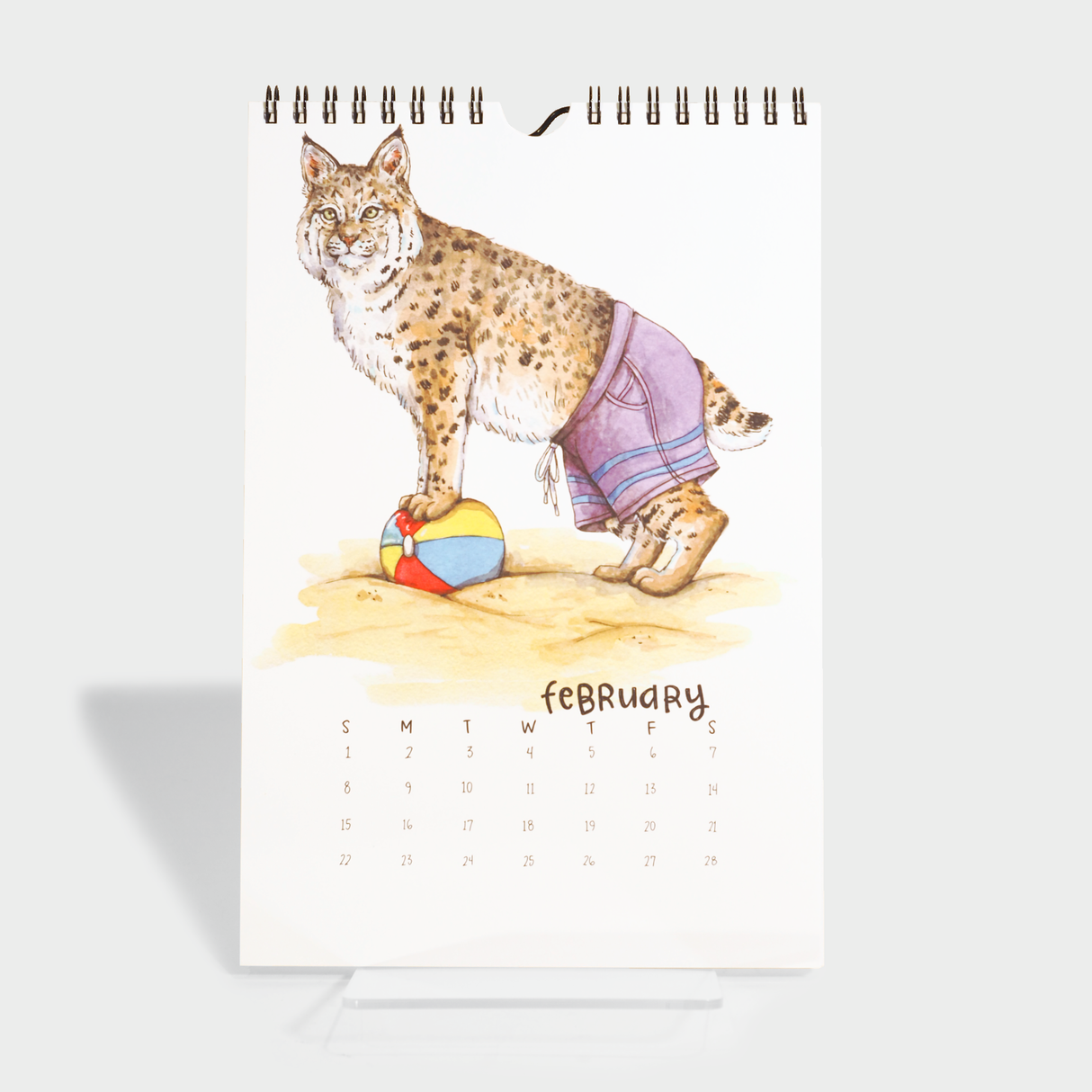 Swimsuit Calendar 2026