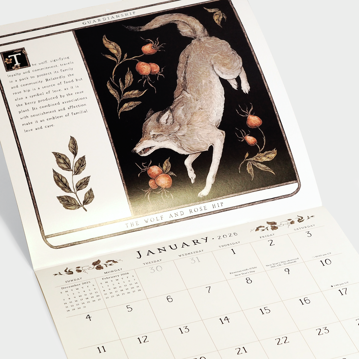 Woodland Wardens 2026 Wall Calendar: The Magical Wisdom of Plants and Animals