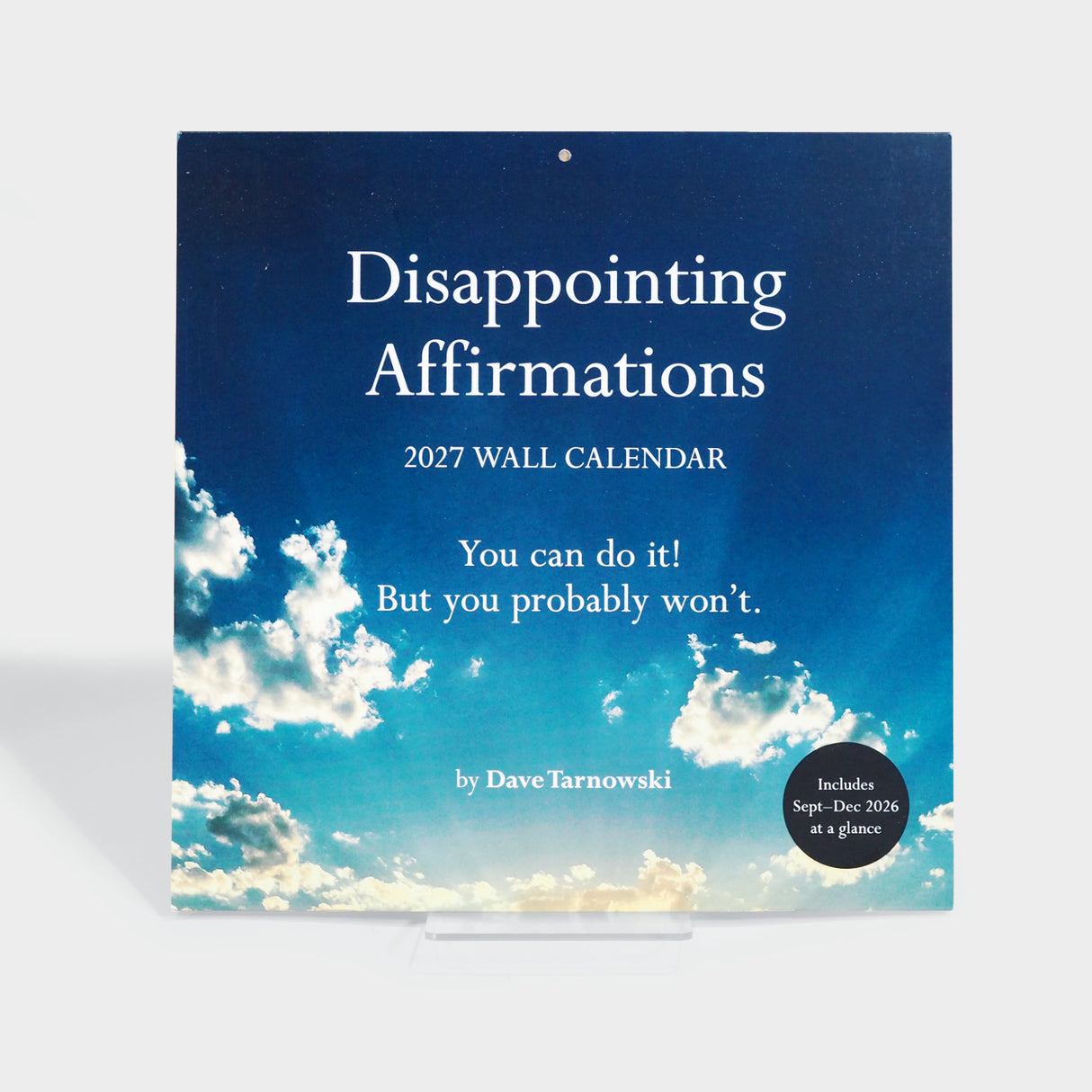 Disappointing Affirmations 2027 Wall Calendar