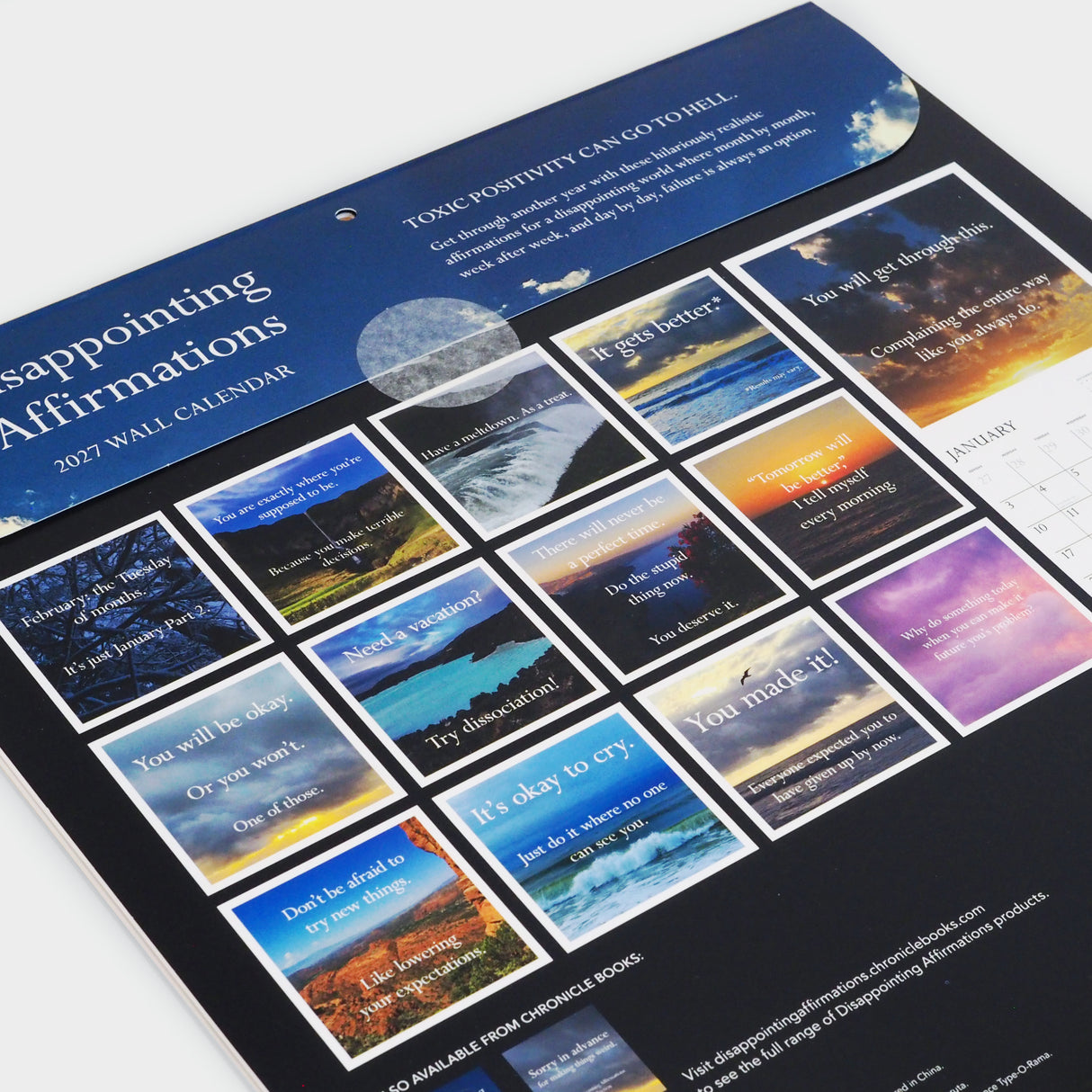 Disappointing Affirmations 2027 Wall Calendar