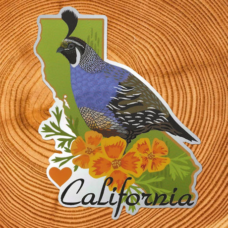 California State Matte Mirror PVC-Free Sticker