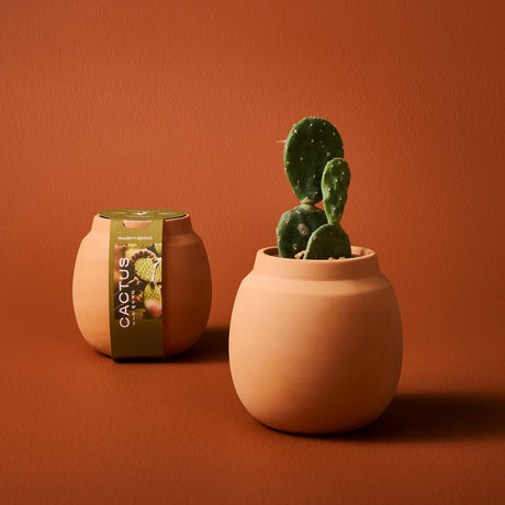 Terracotta Cactus Grow Kit