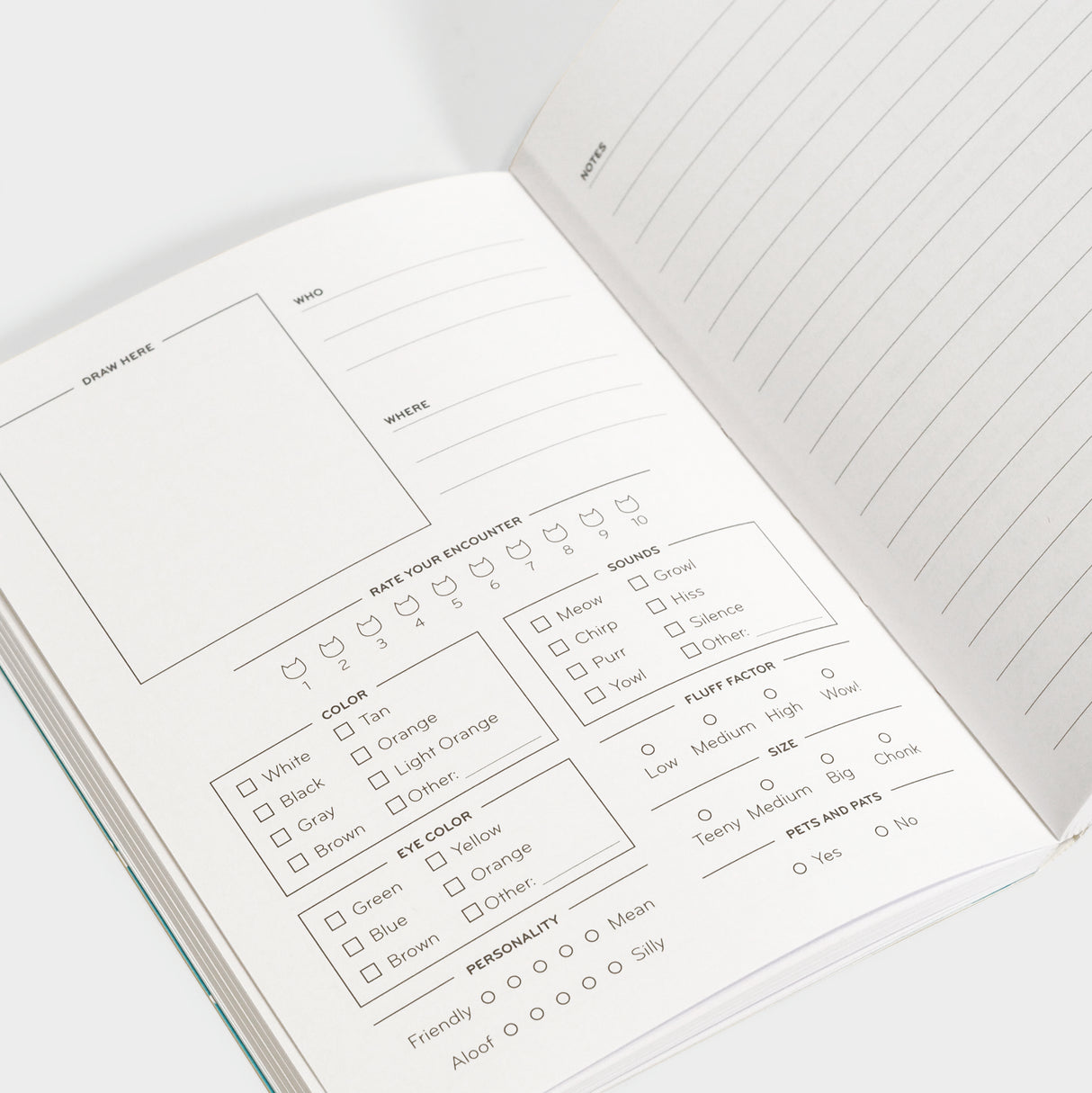 All the Cats I've Ever Met: A Catspotting Log