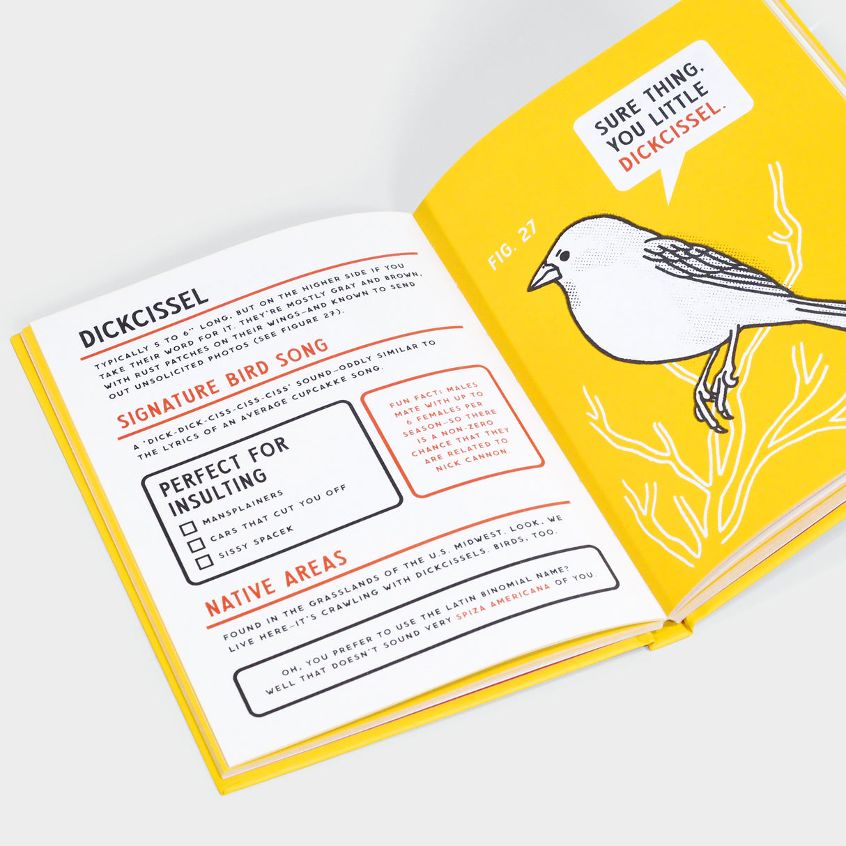 An Illustrated Guide to Birds that Sound like Insults