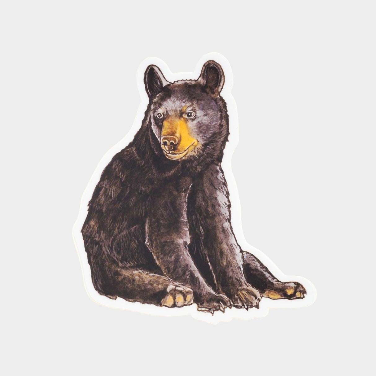 Baby Bear Cub Vinyl Sticker