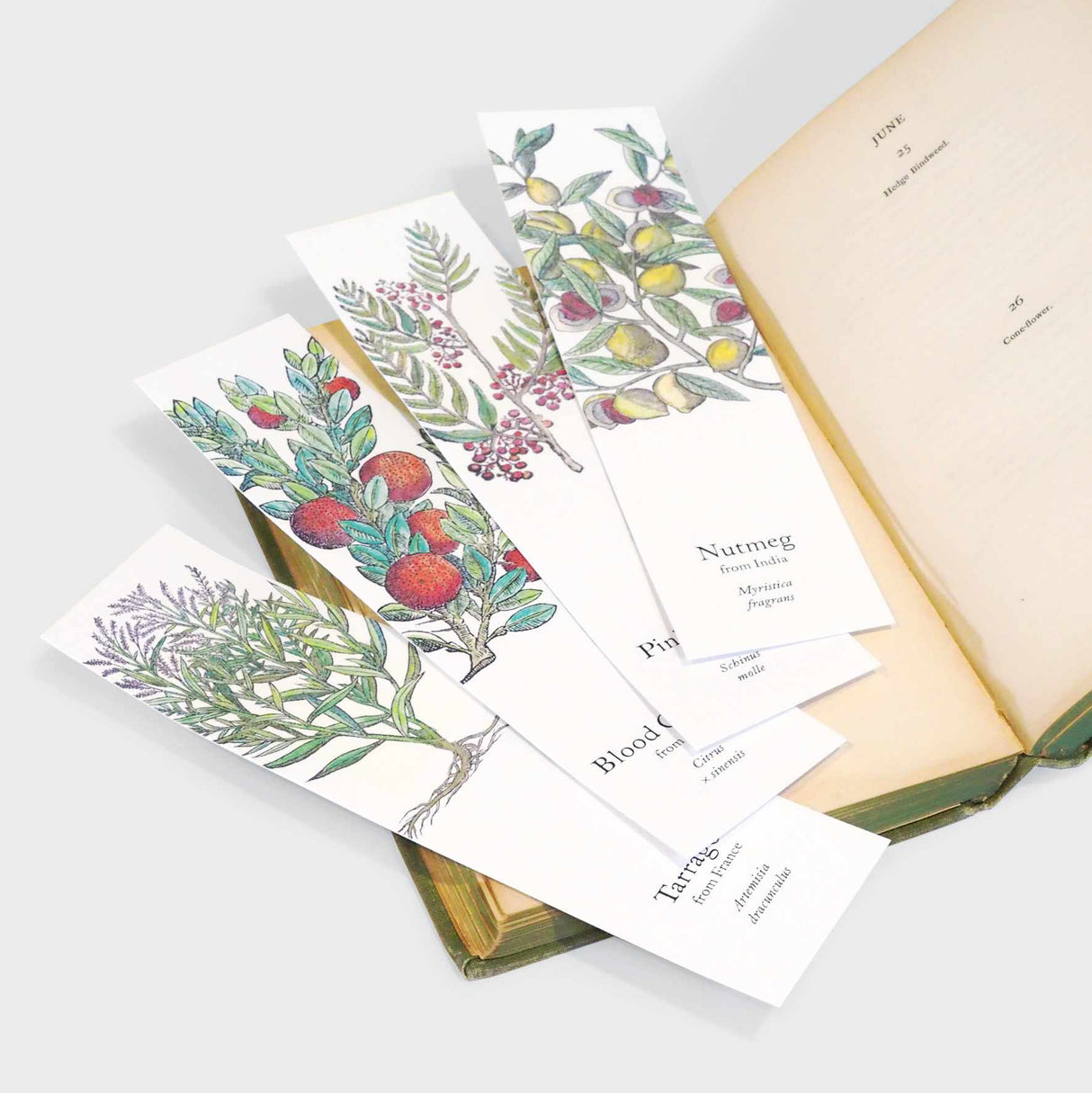 Biblioscents for the Gourmet: Fragrant Bookmarks