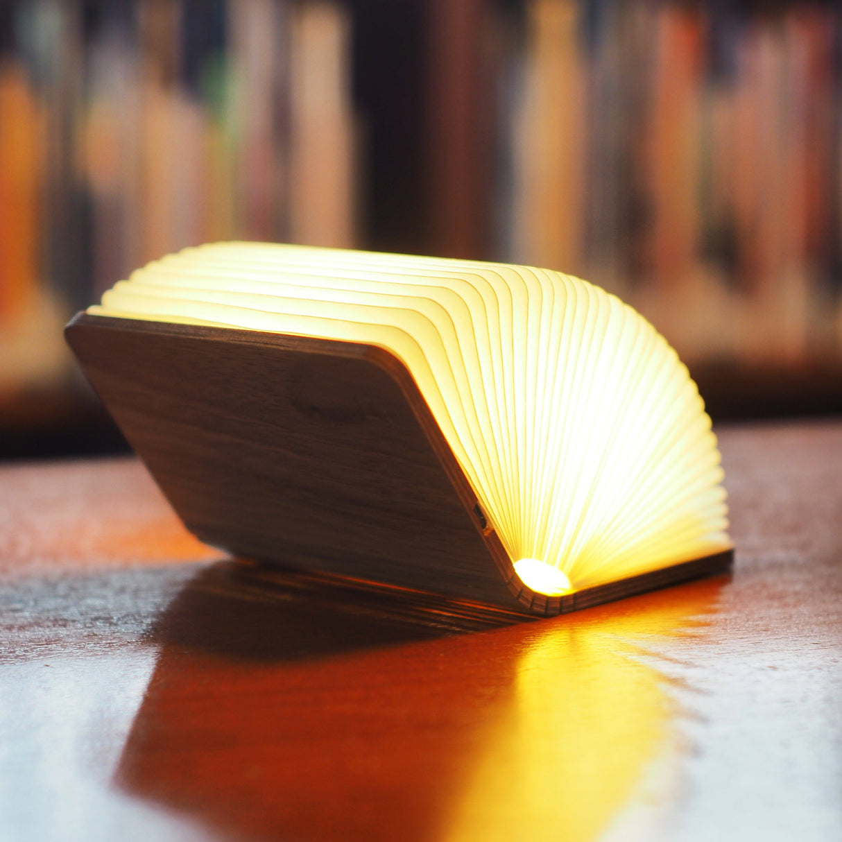 Mini Smart Book Light