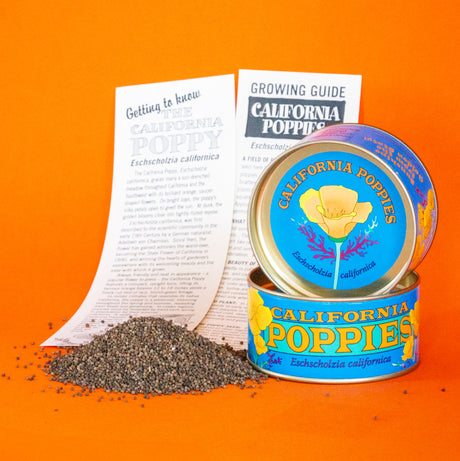 California Poppy Seed Grow Kit