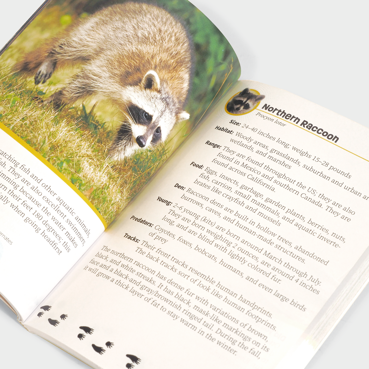 Critters of California Pocket Guide