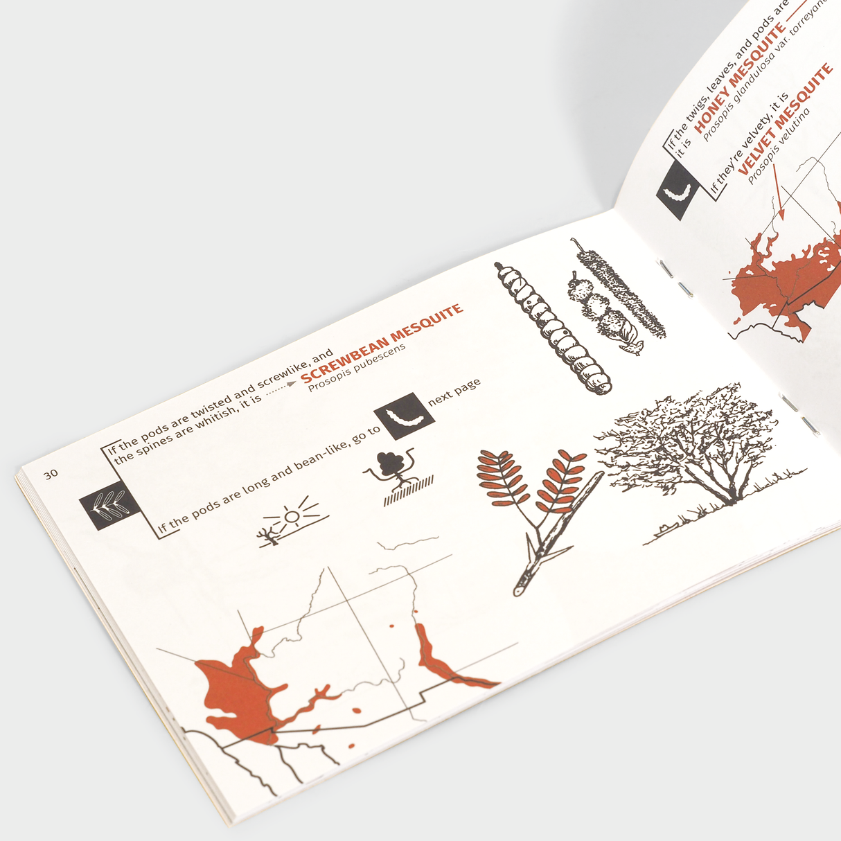 Desert Tree Finder Guidebook