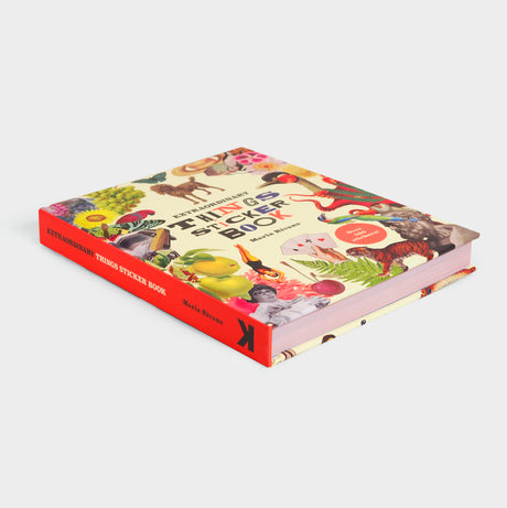 Extraordinary Things Sticker Book