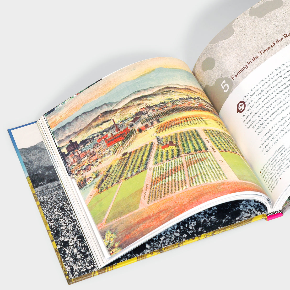 From Cows to Concrete: The Rise and Fall of Farming in Los Angeles