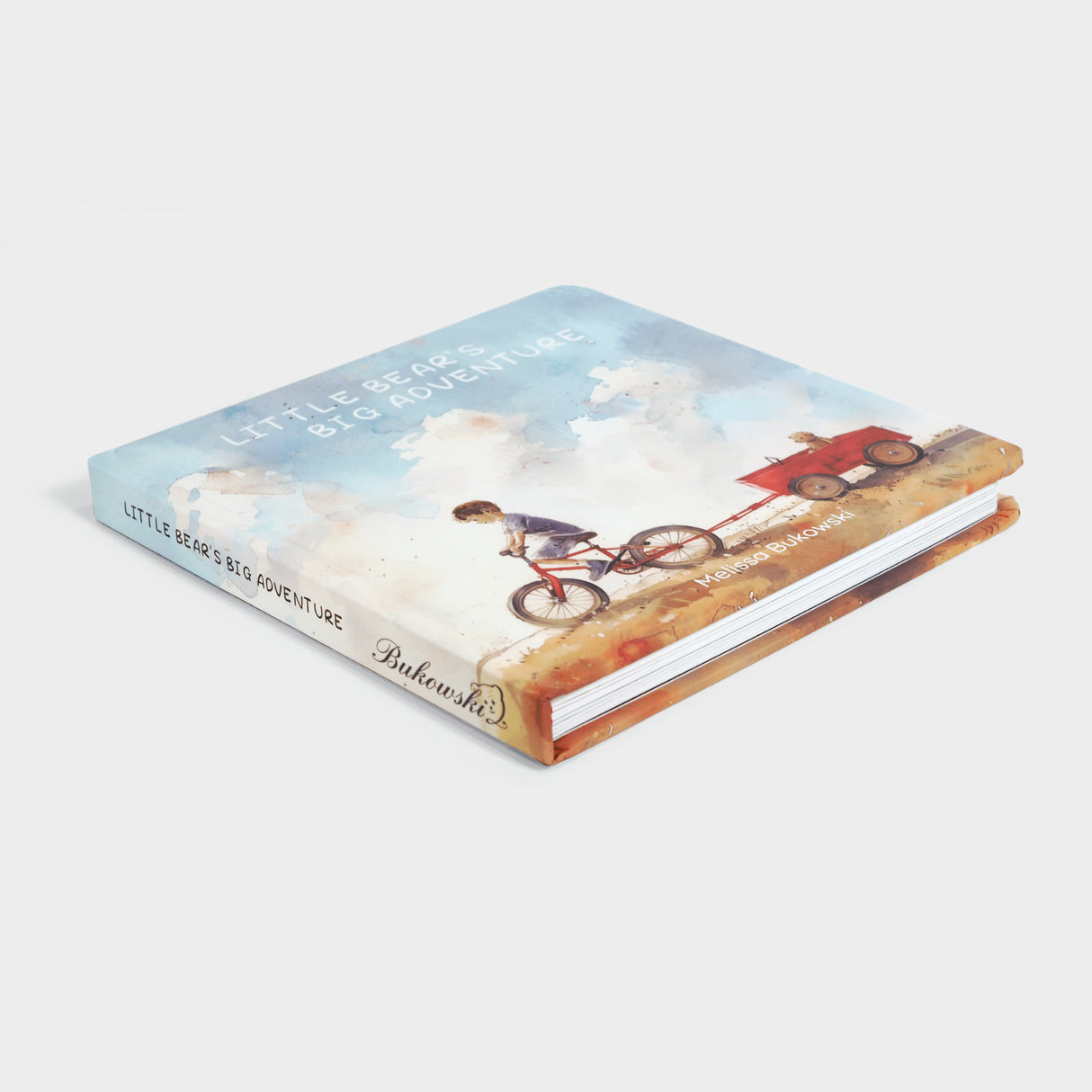 Little Bear's Big Adventure Book