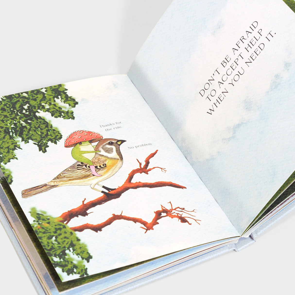 The Little Frog's Guide To Life