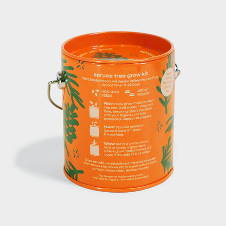 Rockin' Around Spruce Grow Kit