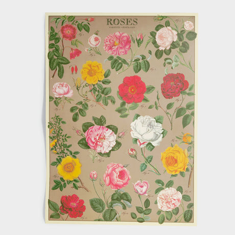 Roses Gift Wrap Single Sheet