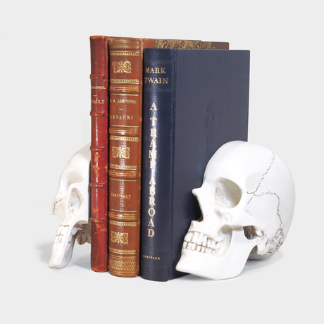 Skull Bookends