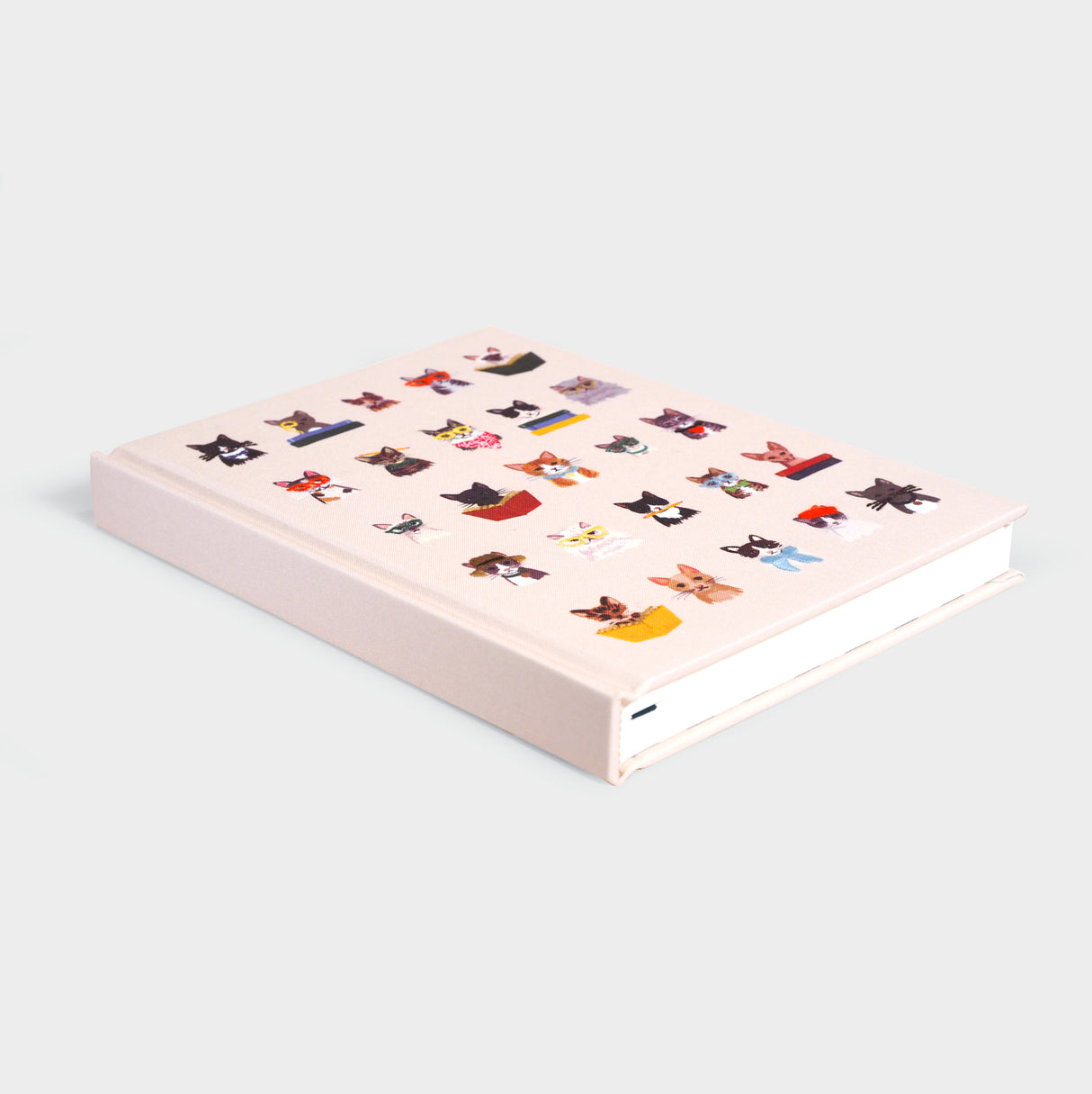 Studious Cats Embroidered Journal