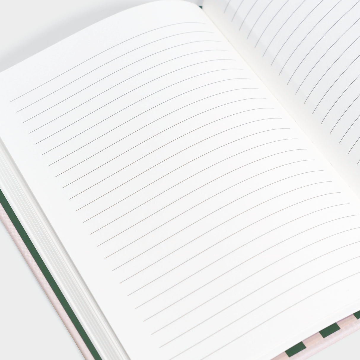 Studious Cats Embroidered Journal