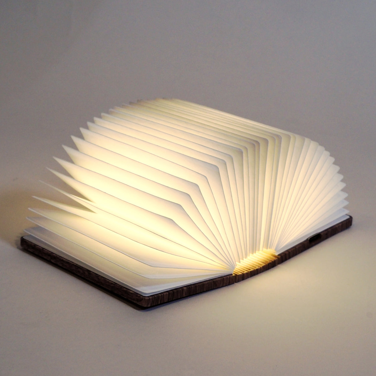 Super Mini Smart Book Light in Walnut