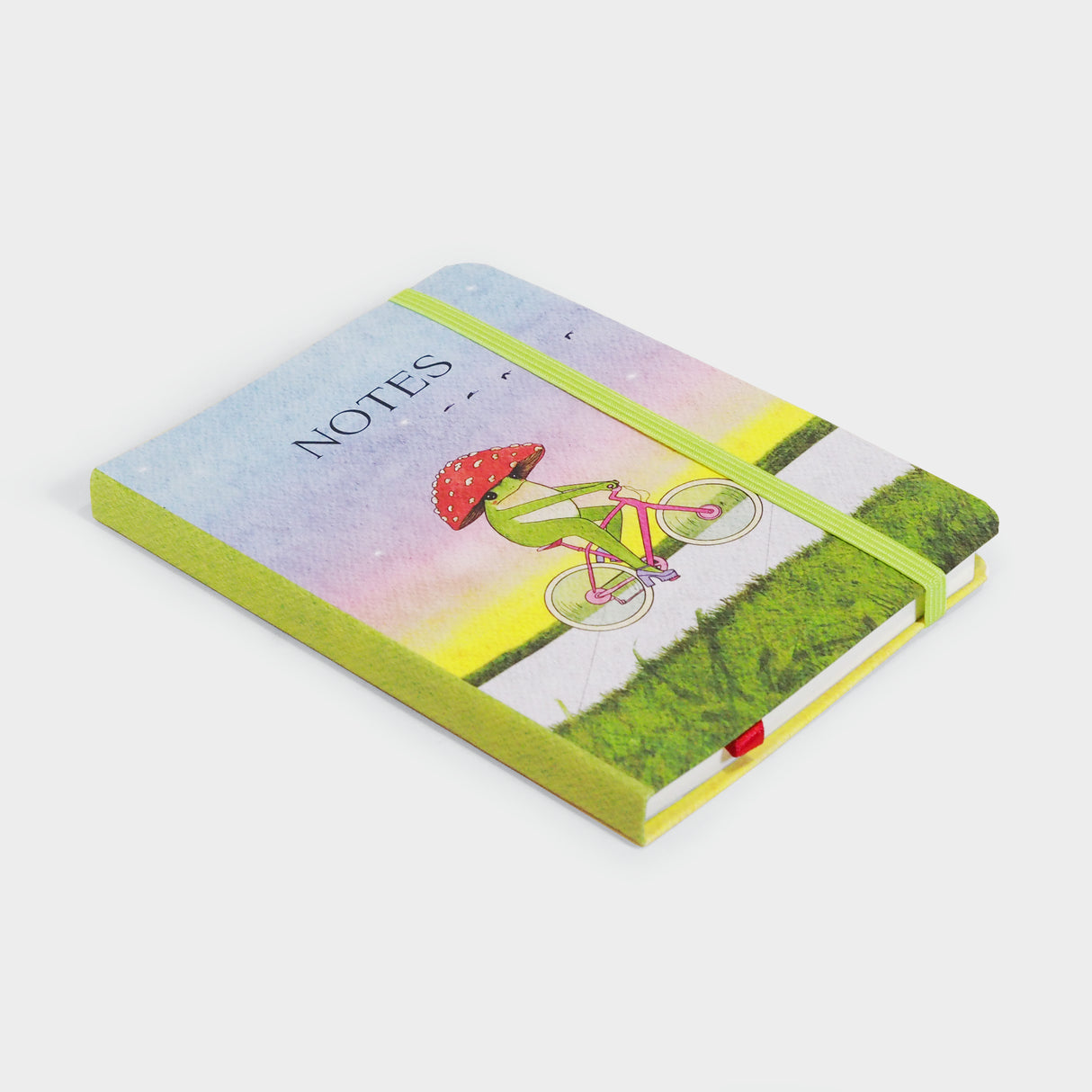 The Little Frog Notebook