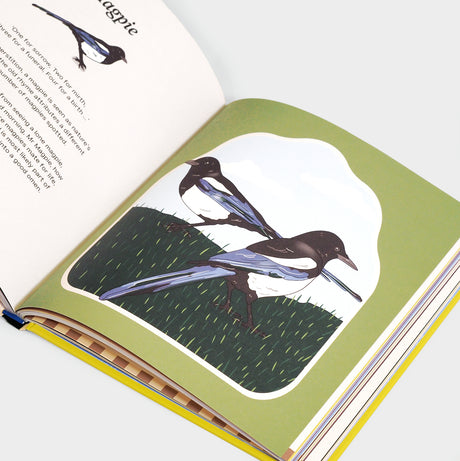 Unlucky: Signs and Superstitions From Around The World