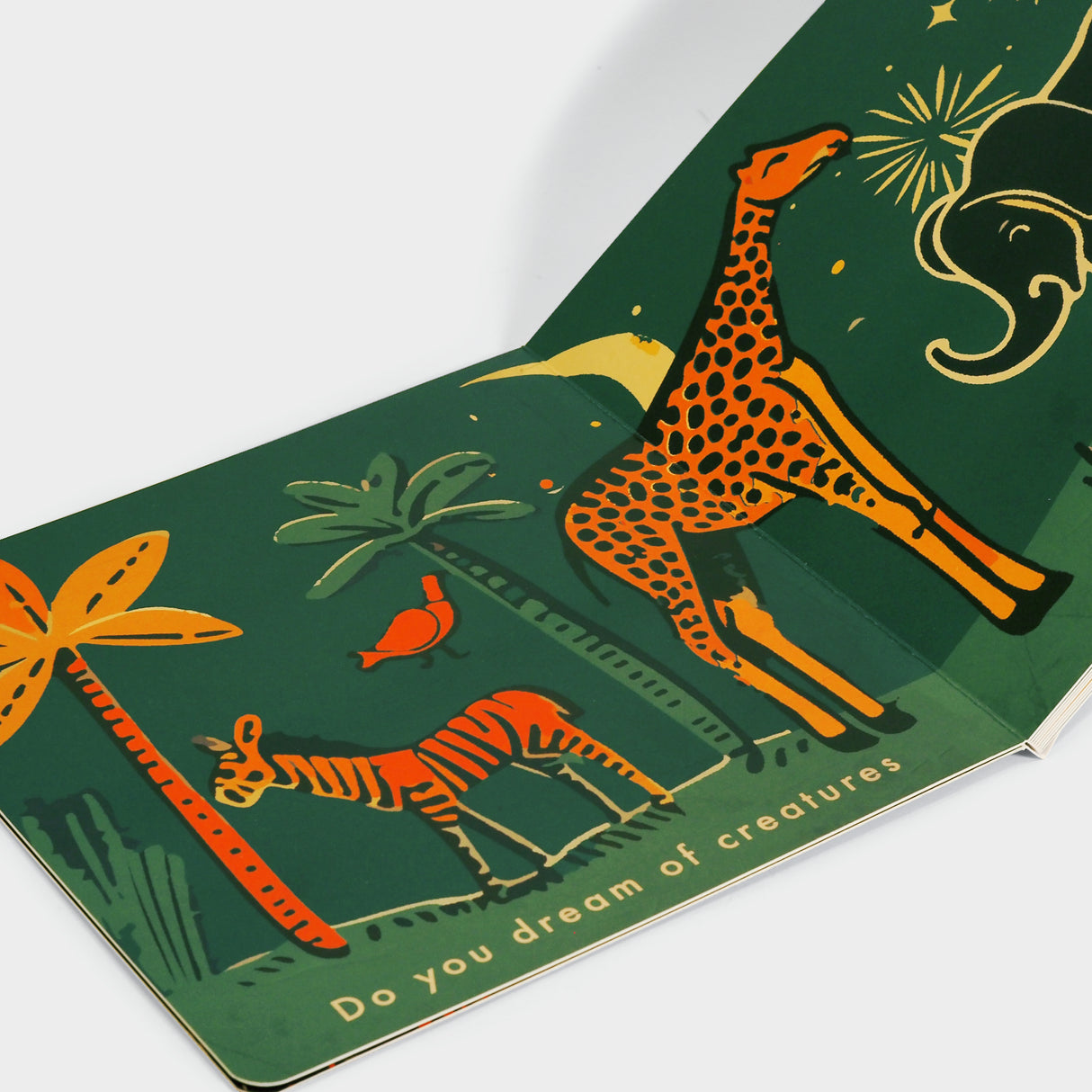 What Do You Dream? Baby Book