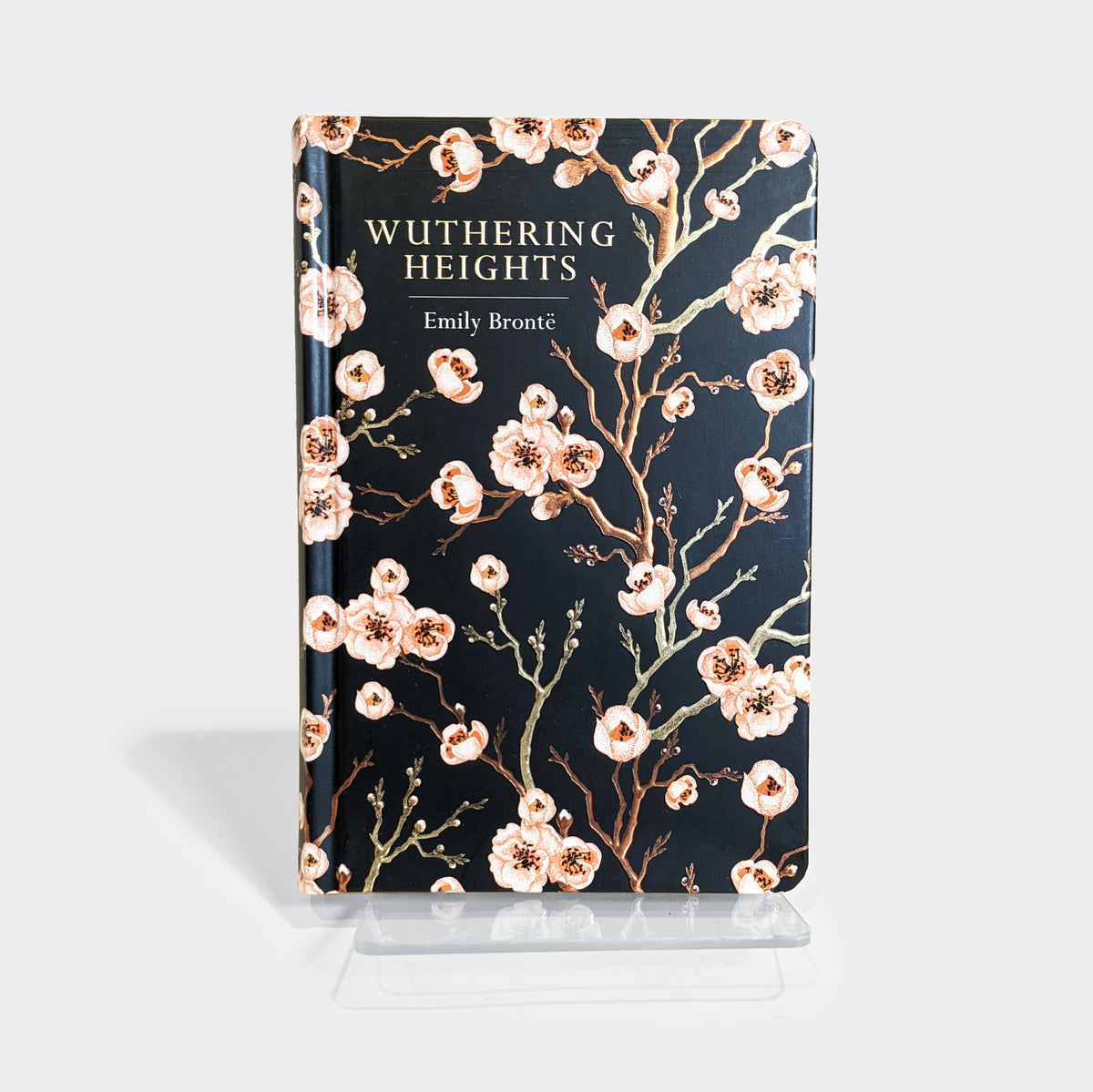 Wuthering Heights – NGL ELT Catalog – Product 9781111838850