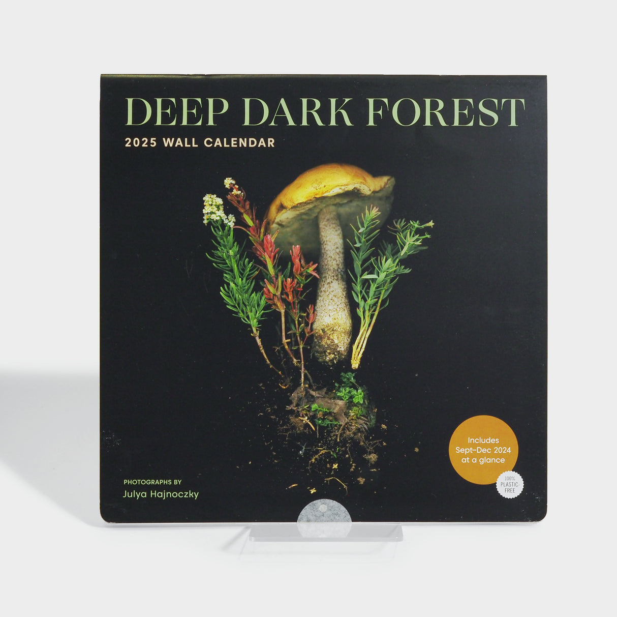 Deep Dark Forest 2025 Wall Calendar