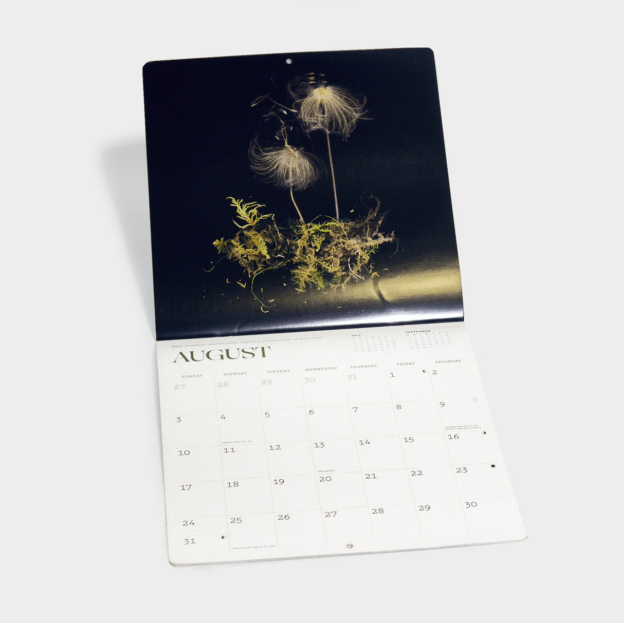 Deep Dark Forest 2025 Wall Calendar