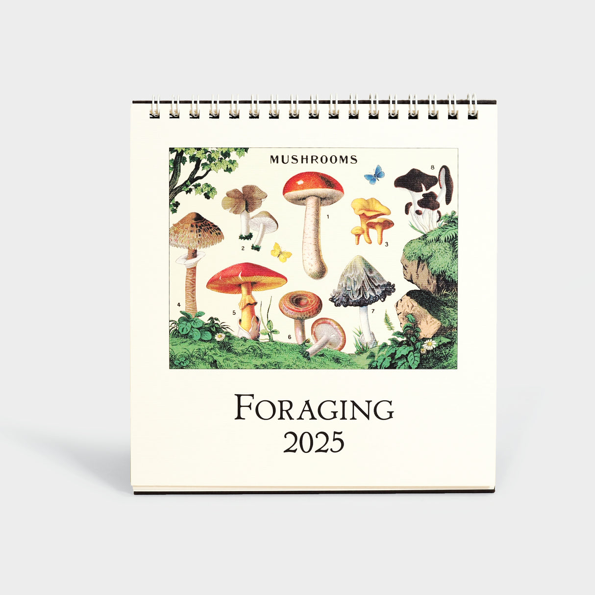 2025 Foraging Desk Calendar