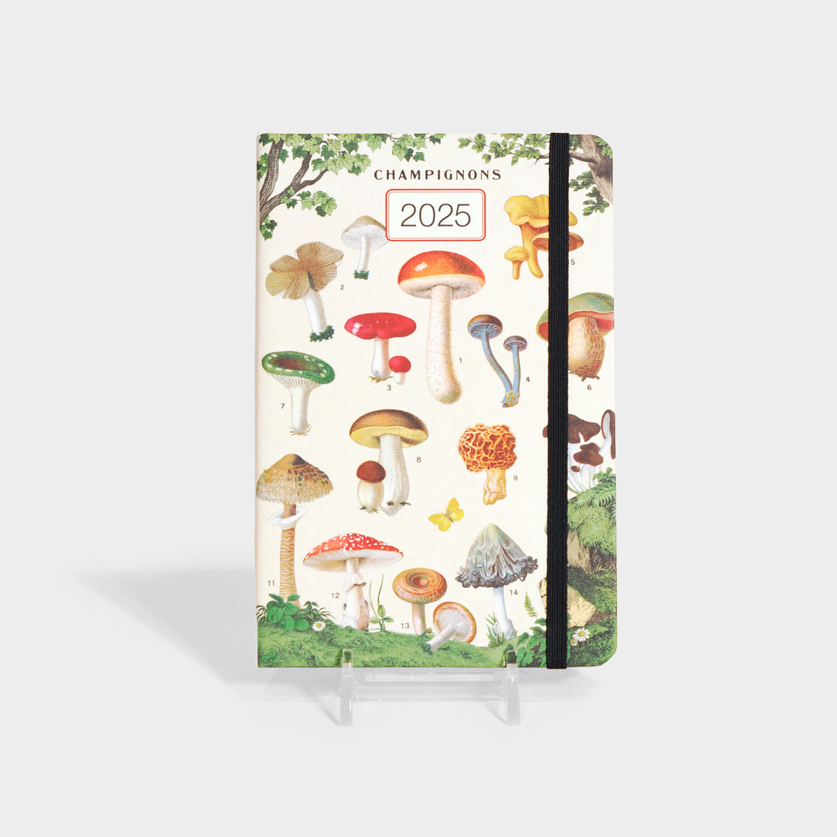 2025 Mushrooms Weekly Planner with Elastic Closure