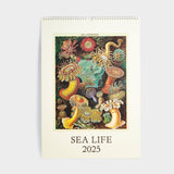 2025 Sea Life Wall Calendar