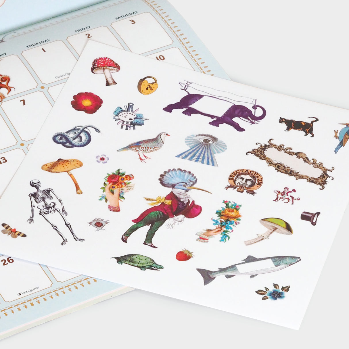 The Antiquarian Sticker Book 2027 Wall Calendar: with Stickers