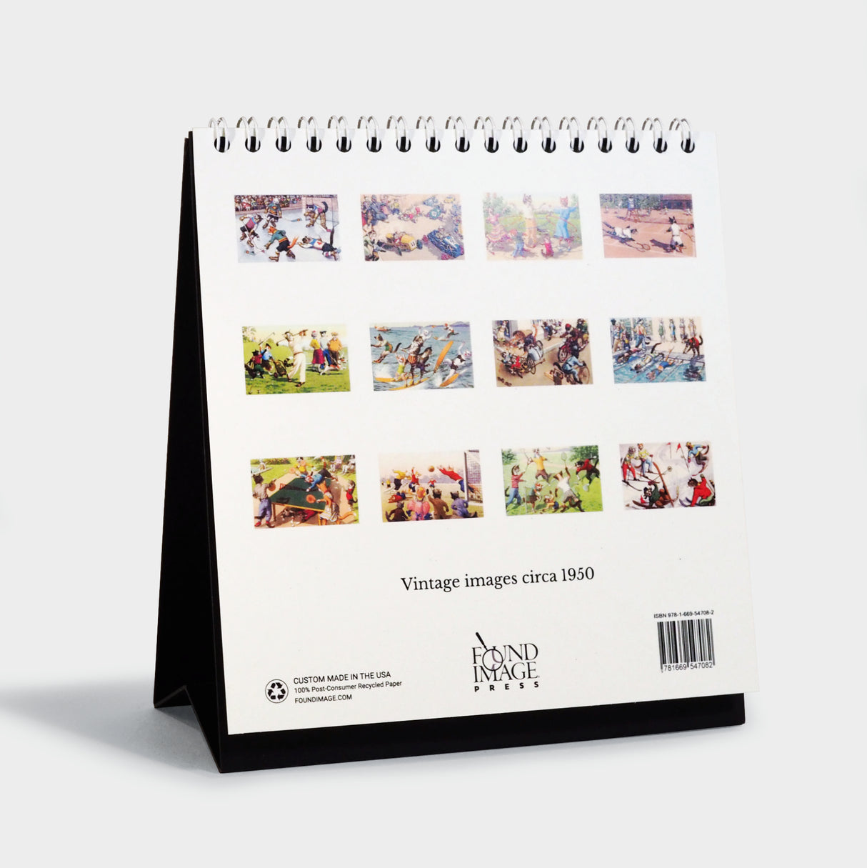 Crazy Cats! 2027 Easel Desk Calendar