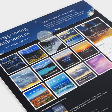 Disappointing Affirmations 2027 Wall Calendar