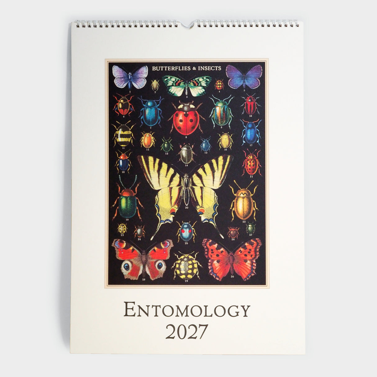 2027 Entomology Wall Calendar