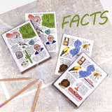California State Facts Boxed Card Set